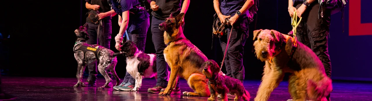 Dancers Love Dogs